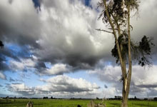 葡萄牙杯冠军意味着什么？